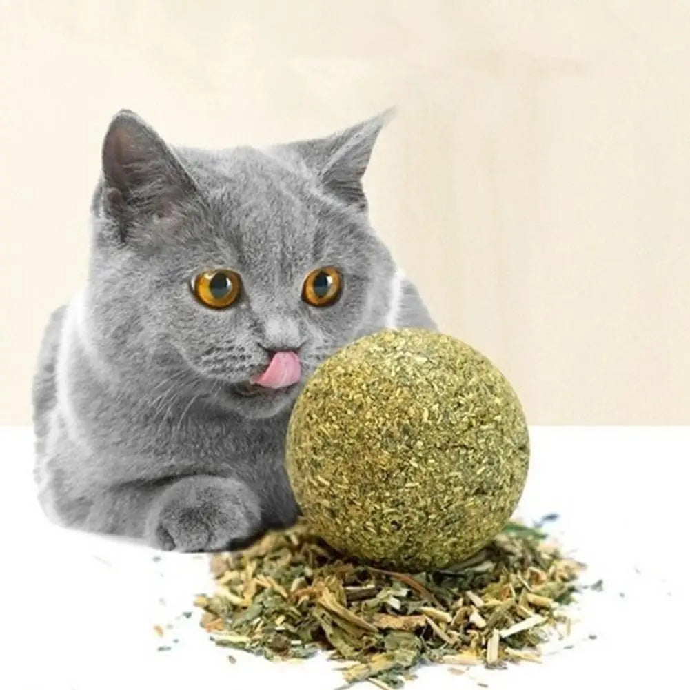 Cat Wall Stick-on Ball Toy Pet Teeth Grinding Tooth Cleaning Cat Grass Balls Cat Snacks Hair Spitting Catnip Toy Pet Supplies