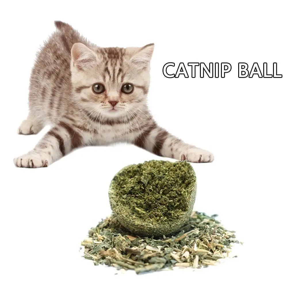 Cat Wall Stick-on Ball Toy Pet Teeth Grinding Tooth Cleaning Cat Grass Balls Cat Snacks Hair Spitting Catnip Toy Pet Supplies